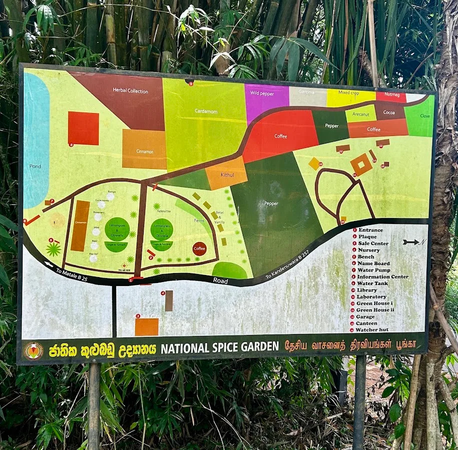 Wandeling door een ayurvedische specerijentuin