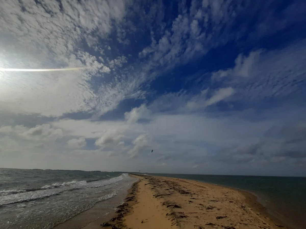 Dolfijnentocht in Kalpitiya