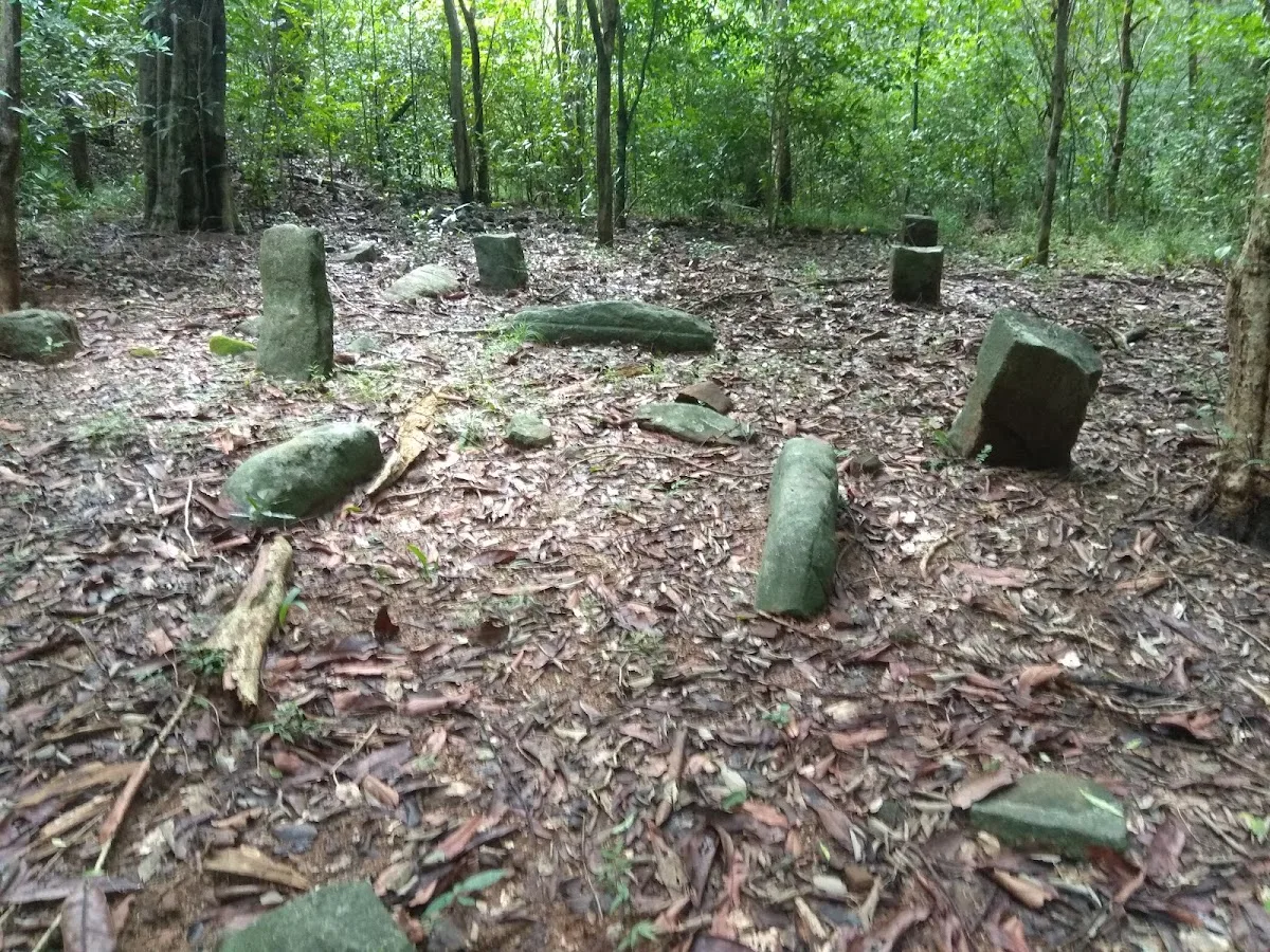 Archeologisch bos van Kaludiya Pokuna