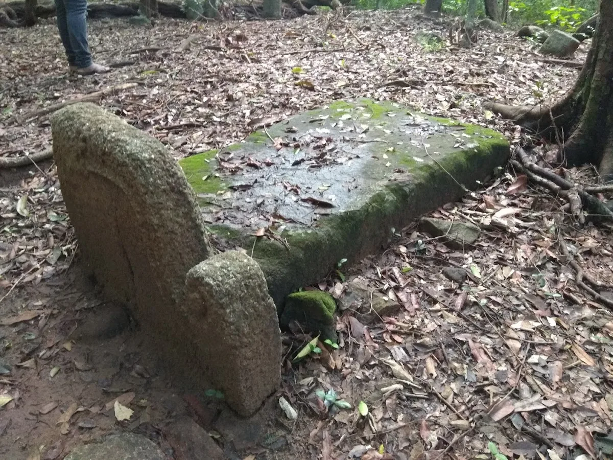 Archeologisch bos van Kaludiya Pokuna