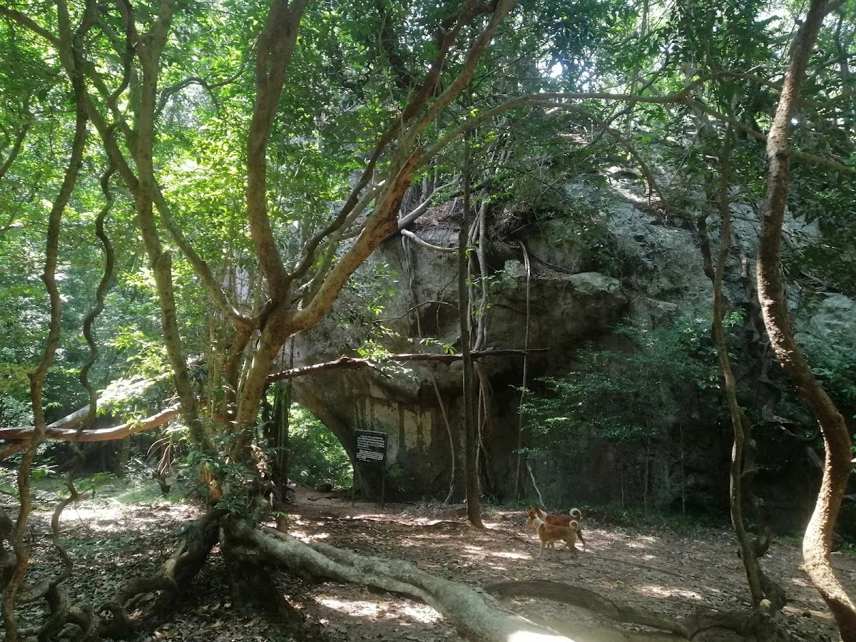 Archeologisch bos van Kaludiya Pokuna