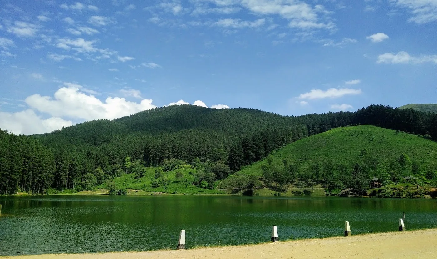 Bosbaden in Knuckles