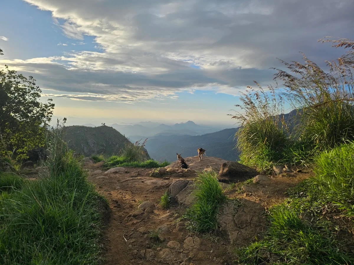 Little Adam's Peak bij zonsopgang