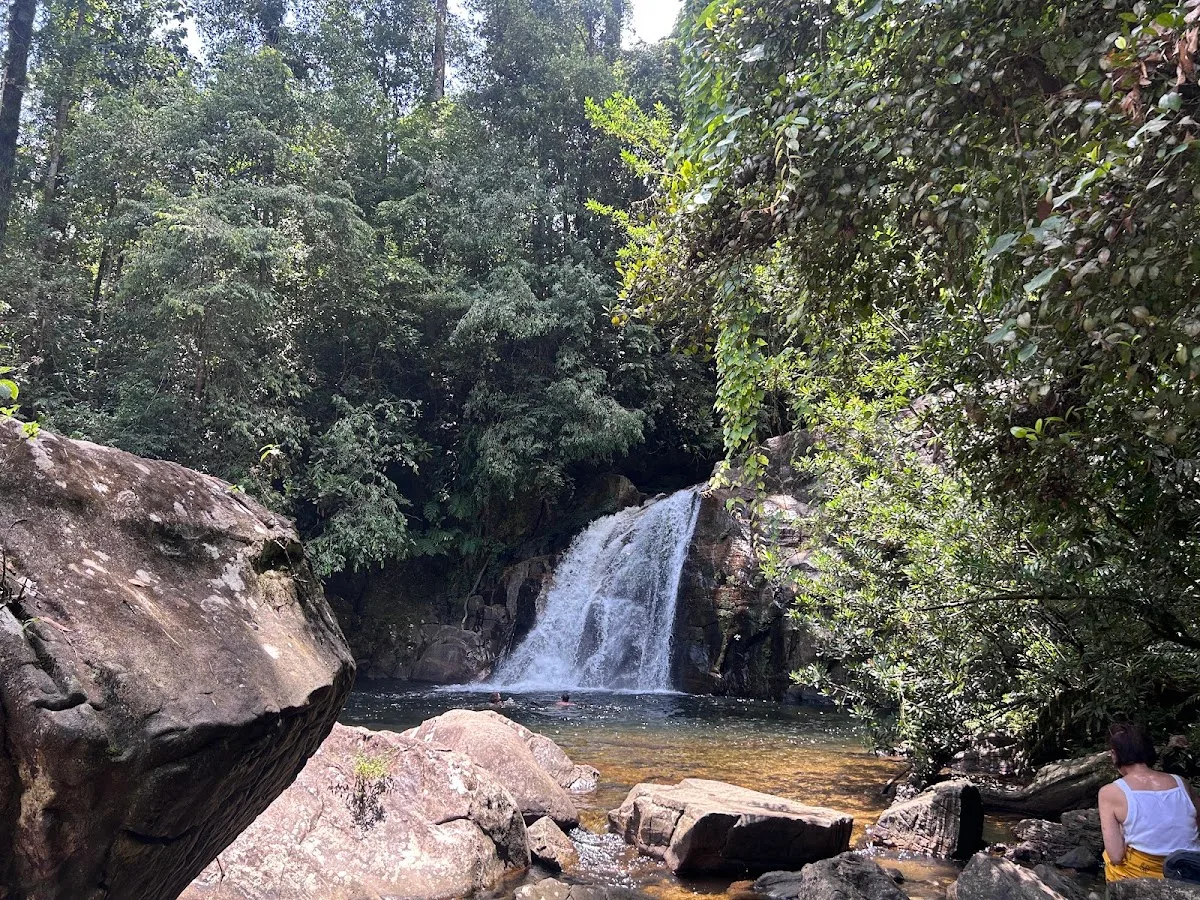 Mindfulnesswandeling in Sinharaja