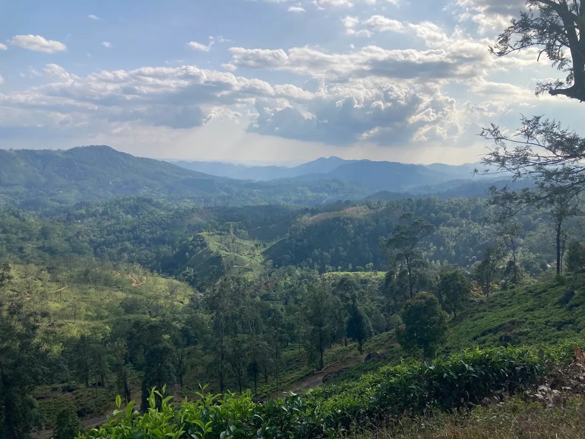 Mindfulnesswandeling in Sinharaja