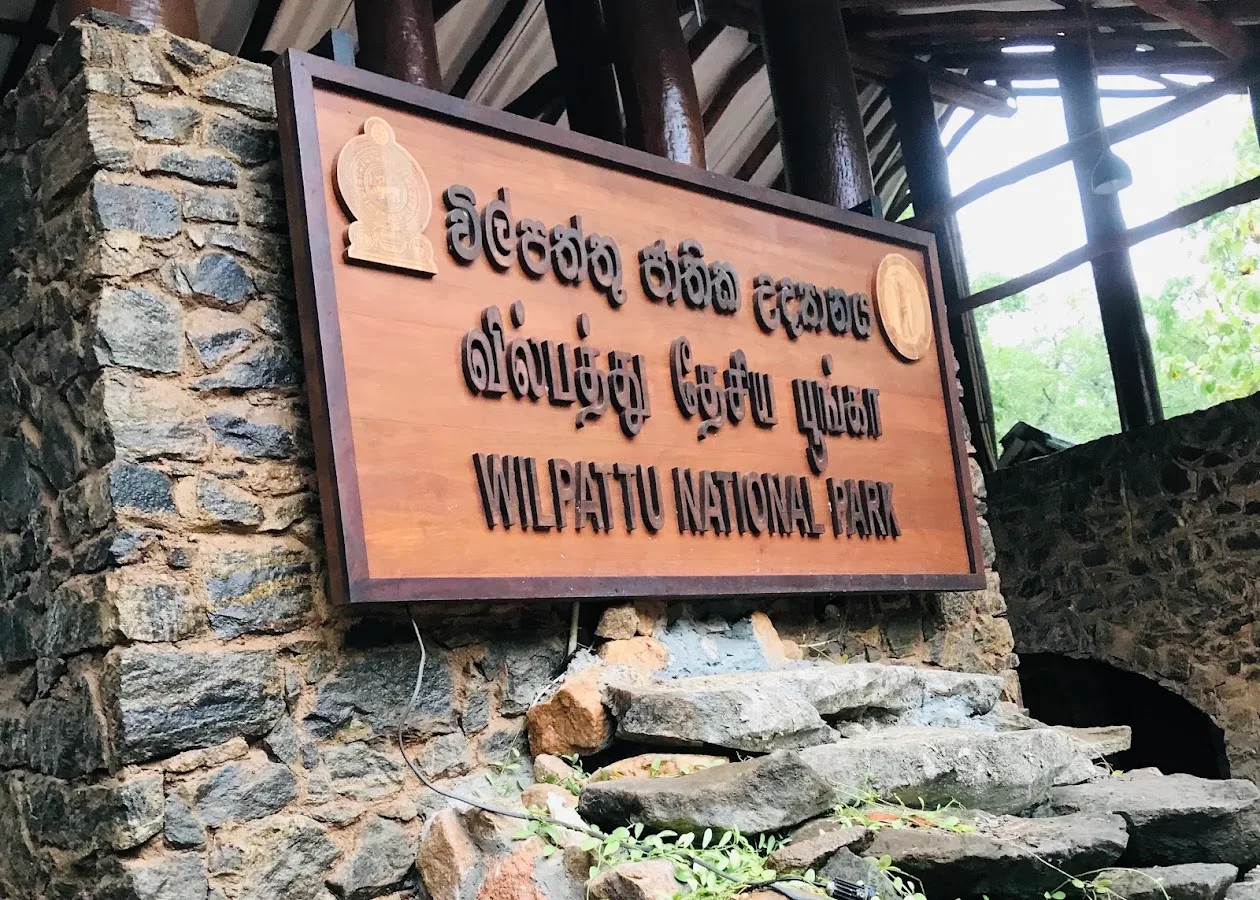 Wildernissafari in Wilpattu