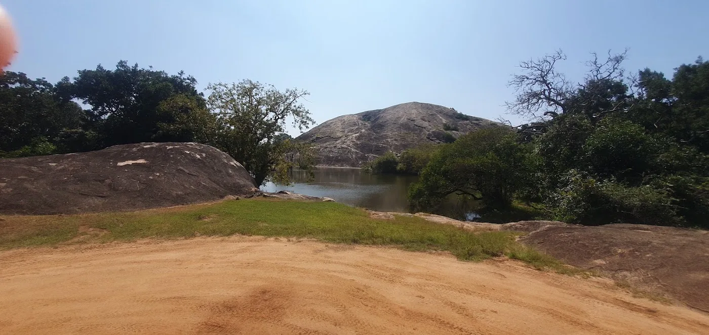 Volledige dagsafari in Yala