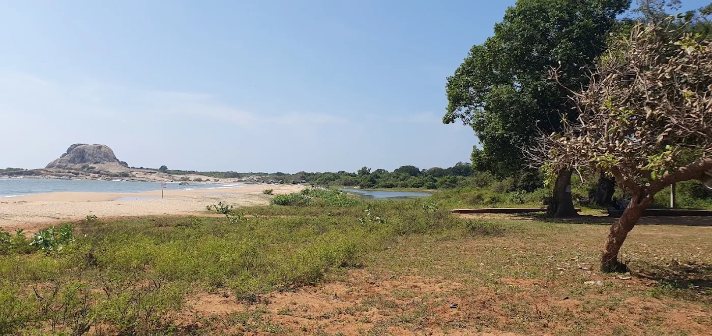 Volledige dagsafari in Yala