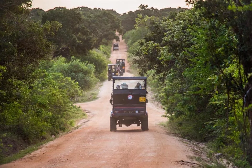 Luipaardsafari in Yala